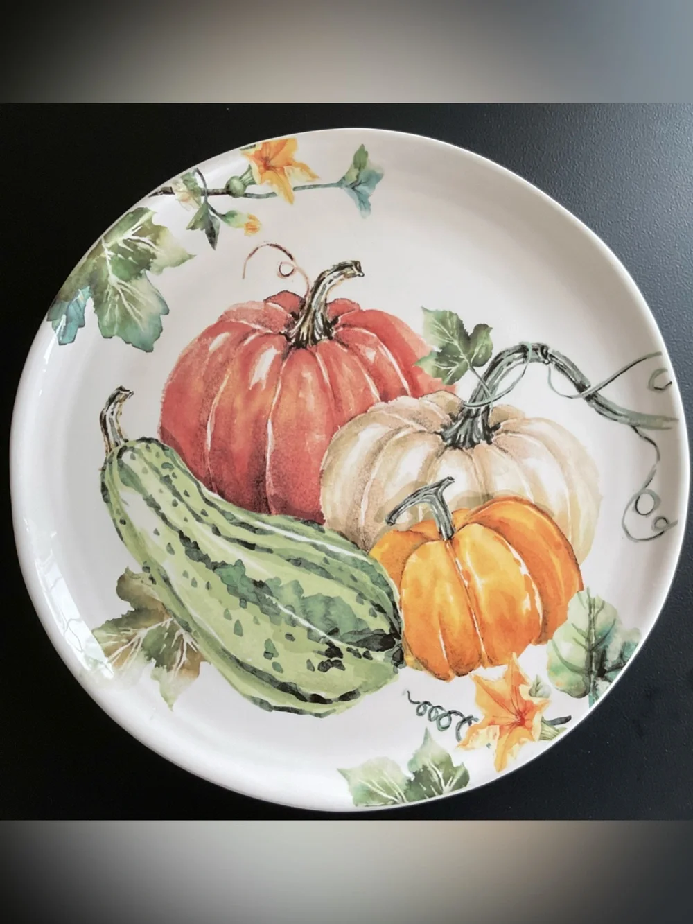 Bico Pumpkins & Gourd Autumn Harvest Ceramic 11” Dinner Plates, Set of 4